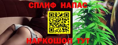 стаф Бузулук