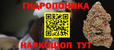 стаф Бузулук